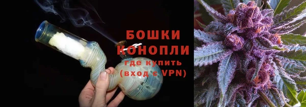 дмт Пересвет