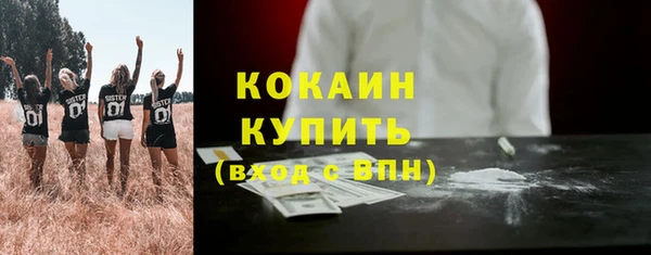 дмт Пересвет