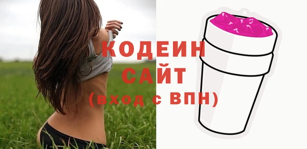 дмт Пересвет