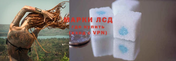 дмт Пересвет