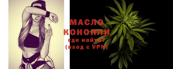 дмт Пересвет