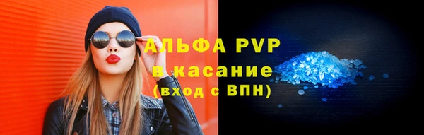 дмт Пересвет