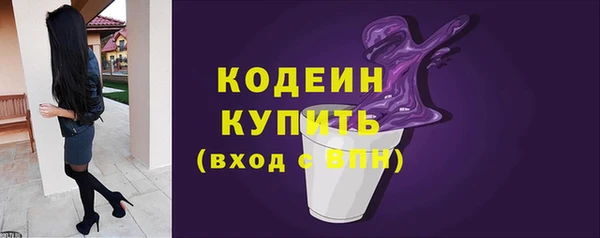 дмт Пересвет