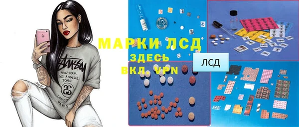 дмт Пересвет
