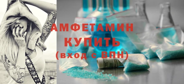 дмт Пересвет
